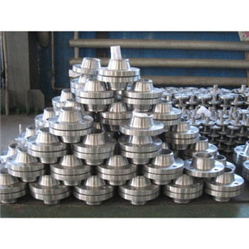 DN10-DN2000 ASTM / DIN norme Ss A182 304L 316L bride en acier forgé par plaque 